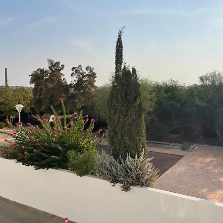 Fiori * פאראלימני